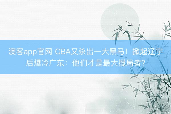澳客app官网 CBA又杀出一大黑马！掀起辽宁后爆冷广东：他们才是最大搅局者？