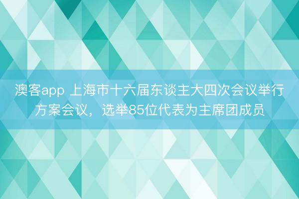 澳客app 上海市十六届东谈主大四次会议举行方案会议，选举85位代表为主席团成员
