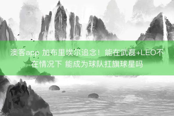 澳客app 加布里埃尔追念！能在武磊+LEO不在情况下 能成为球队扛旗球星吗