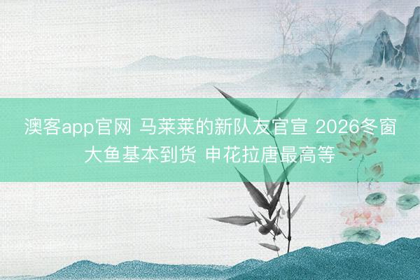 澳客app官网 马莱莱的新队友官宣 2026冬窗大鱼基本到货 申花拉唐最高等