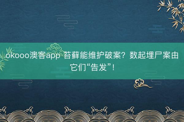 okooo澳客app 苔藓能维护破案？数起埋尸案由它们“告发”！