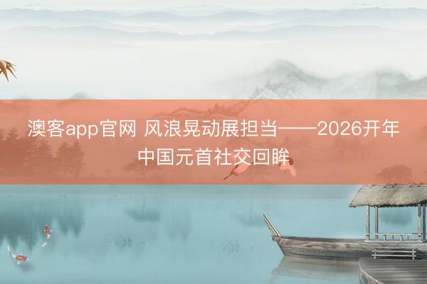 澳客app官网 风浪晃动展担当——2026开年中国元首社交回眸
