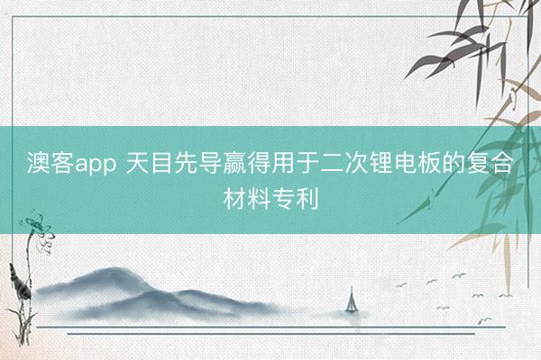 澳客app 天目先导赢得用于二次锂电板的复合材料专利