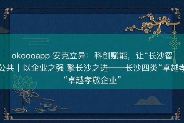 okoooapp 安克立异：科创赋能，让“长沙智造”惊艳公共｜以企业之强 擎长沙之进——长沙四类“卓越孝敬企业”