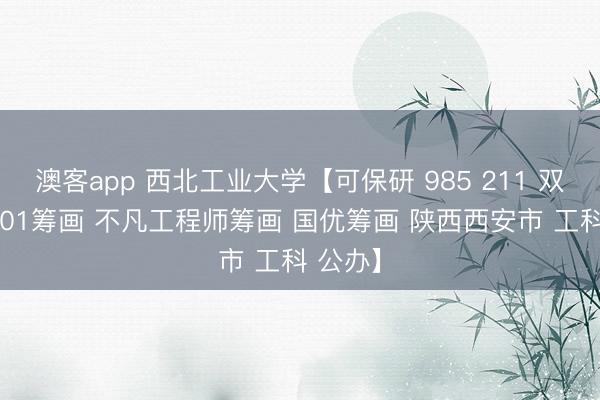 澳客app 西北工业大学【可保研 985 211 双一流 101筹画 不凡工程师筹画 国优筹画 陕西西安市 工科 公办】