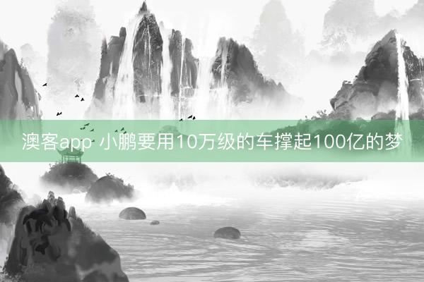 澳客app 小鹏要用10万级的车撑起100亿的梦