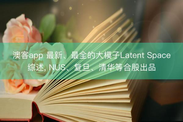 澳客app 最新、最全的大模子Latent Space综述， NUS、复旦、清华等合股出品