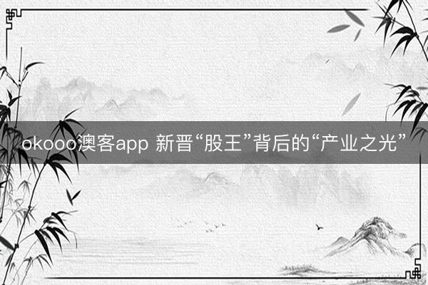 okooo澳客app 新晋“股王”背后的“产业之光”