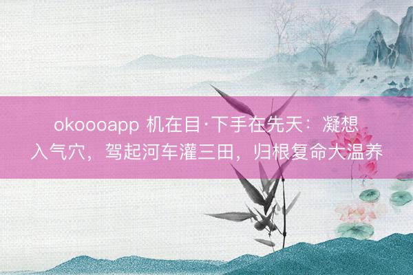 okoooapp 机在目·下手在先天：凝想入气穴，驾起河车灌三田，归根复命大温养