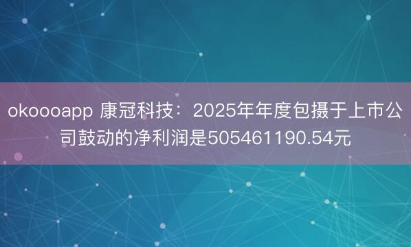 okoooapp 康冠科技：2025年年度包摄于上市公司鼓动的净利润是505461190.54元