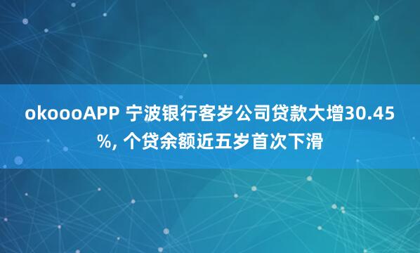 okoooAPP 宁波银行客岁公司贷款大增30.45%， 个贷余额近五岁首次下滑