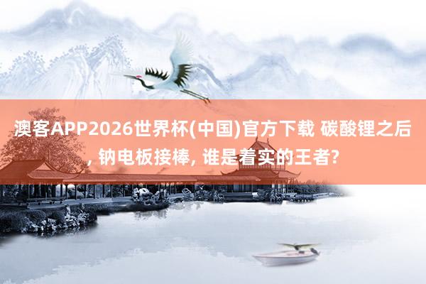 澳客APP2026世界杯(中国)官方下载 碳酸锂之后， 钠电板接棒， 谁是着实的王者?
