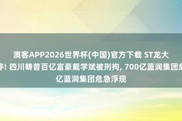 澳客APP2026世界杯(中国)官方下载 ST龙大六连跌停! 四川畴昔百亿富豪戴学斌被刑拘， 700亿蓝润集团危急浮现