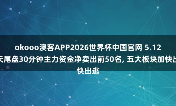 okooo澳客APP2026世界杯中国官网 5.12当天尾盘30分钟主力资金净卖出前50名， 五大板块加快出逃