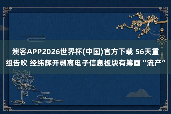 澳客APP2026世界杯(中国)官方下载 56天重组告吹 经纬辉开剥离电子信息板块有筹画“流产”