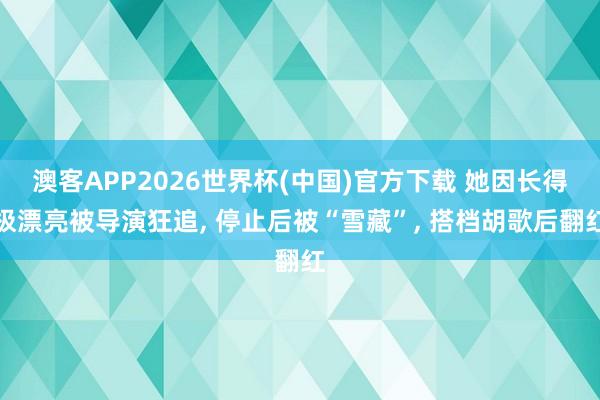 澳客APP2026世界杯(中国)官方下载 她因长得极漂亮被导演狂追， 停止后被“雪藏”， 搭档胡歌后翻红