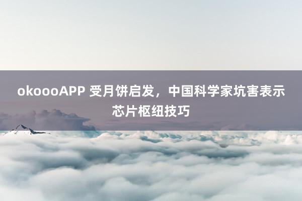 okoooAPP 受月饼启发，中国科学家坑害表示芯片枢纽技巧