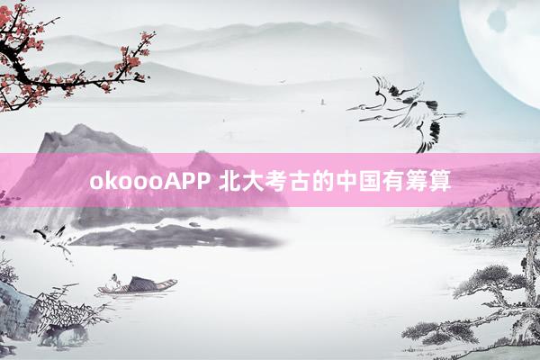 okoooAPP 北大考古的中国有筹算