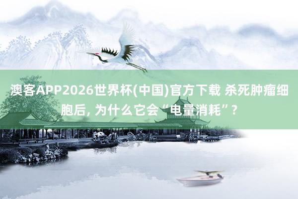 澳客APP2026世界杯(中国)官方下载 杀死肿瘤细胞后， 为什么它会“电量消耗”?