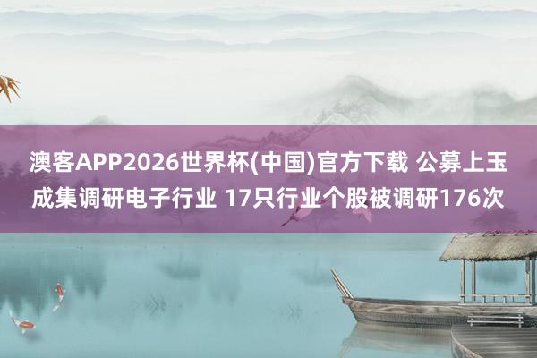 澳客APP2026世界杯(中国)官方下载 公募上玉成集调研电子行业 17只行业个股被调研176次