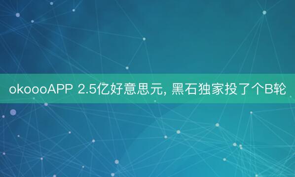 okoooAPP 2.5亿好意思元， 黑石独家投了个B轮