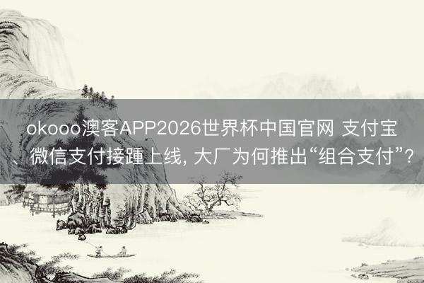 okooo澳客APP2026世界杯中国官网 支付宝、微信支付接踵上线， 大厂为何推出“组合支付”?