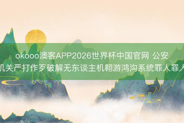 okooo澳客APP2026世界杯中国官网 公安机关严打作歹破解无东谈主机翱游鸿沟系统罪人罪人