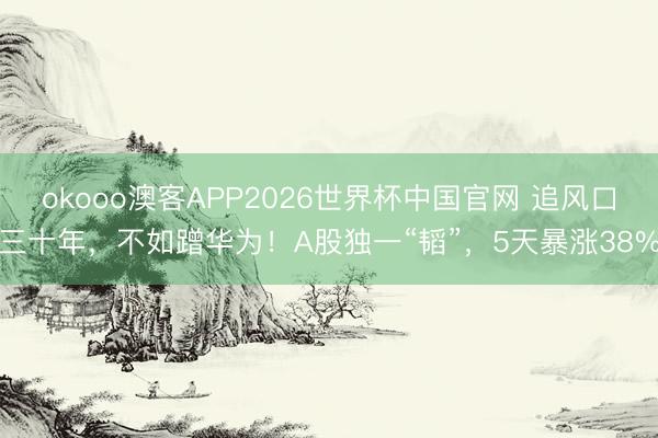 okooo澳客APP2026世界杯中国官网 追风口三十年,不如蹭华为!A股独一“韬”,5天暴涨38%