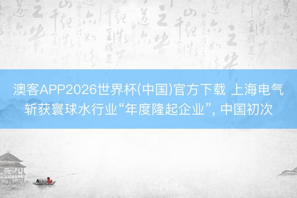澳客APP2026世界杯(中国)官方下载 上海电气斩获寰球水行业“年度隆起企业”， 中国初次