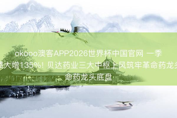 okooo澳客APP2026世界杯中国官网 一季报功绩大增135%! 贝达药业三大中枢上风筑牢革命药龙头底盘