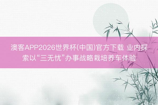 澳客APP2026世界杯(中国)官方下载 业内探索以“三无忧”办事战略栽培养车体验