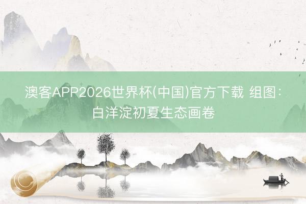 澳客APP2026世界杯(中国)官方下载 组图：白洋淀初夏生态画卷