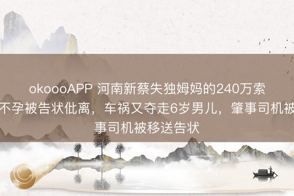 okoooAPP 河南新蔡失独姆妈的240万索赔：她称不孕被告状仳离，车祸又夺走6岁男儿，肇事司机被移送告状