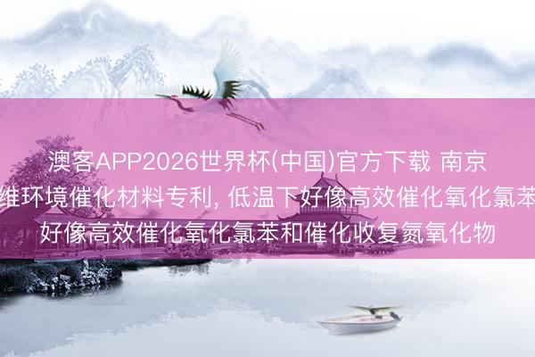 澳客APP2026世界杯(中国)官方下载 南京工业大学肯求无序纤维环境催化材料专利， 低温下好像高效催化氧化氯苯和催化收复氮氧化物