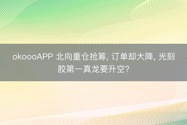 okoooAPP 北向重仓抢筹， 订单却大降， 光刻胶第一真龙要升空?